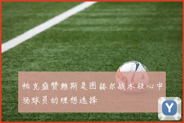 帕克盛赞赖斯是图赫尔战术核心中场球员的理想选择