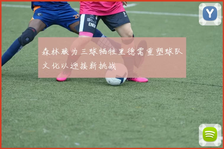 森林狼为三球牺牲里德需重塑球队文化以迎接新挑战
