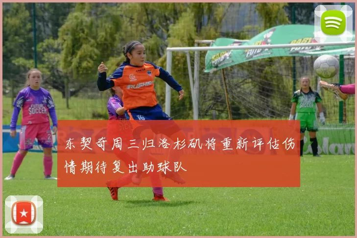 东契奇周三归洛杉矶将重新评估伤情期待复出助球队